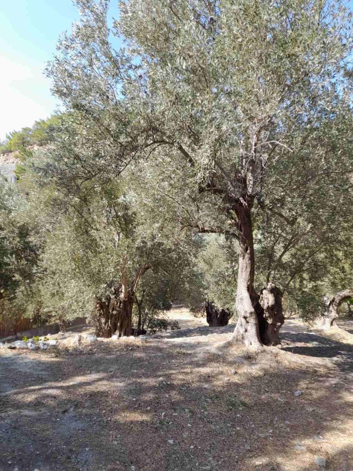 Δωμάτια Κόκκινος Πύργος Пломарион Экстерьер фото